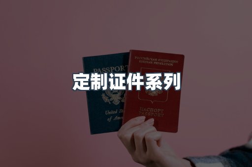 定制证件系列